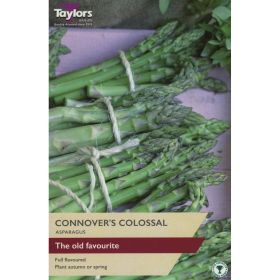 Asparagus Connover's Colossal - Pack of 2
